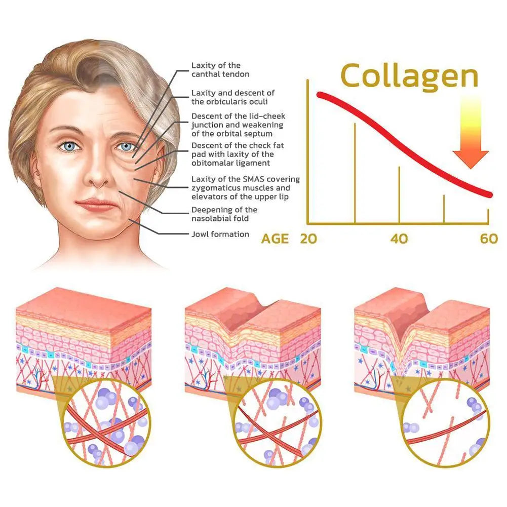 Snail Collagen Face Cream 92% - Pack 1/3/5 Piezas - Crema Reparadora Premium